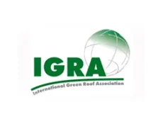 partner igra